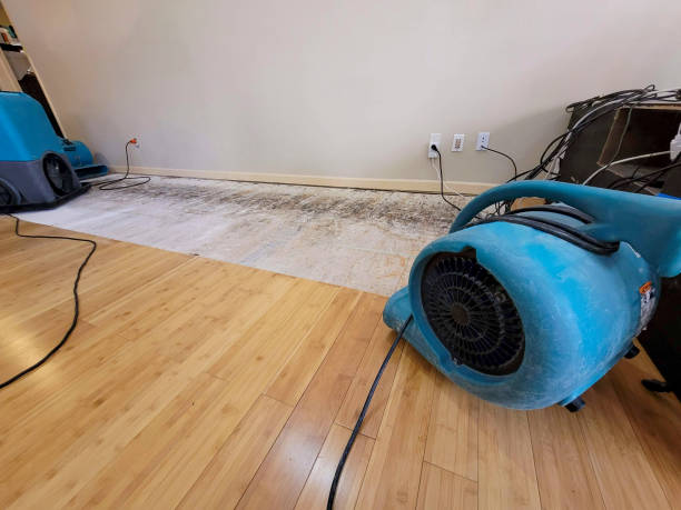 Professional Structural Drying technician working in Washington, NC